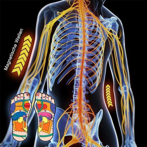 Buy 1 Get 1 FREE | Magnetic Therapy Socks – Comfort and Pain Relief with Every Step!