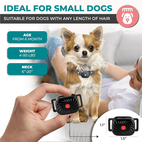 Collare Antiabbaio per Cani di Piccola Taglia | Con Suono e Vibrazione | Impermeabile IP87 | Regolabile e Addestramento Delicato