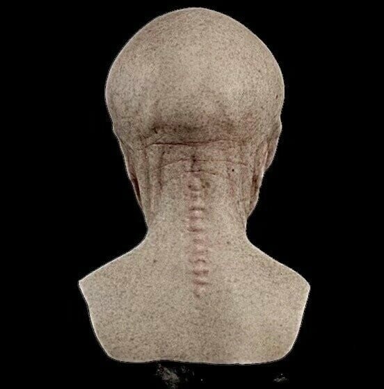 Realistic Alien Mask Halloween Costume Accessory