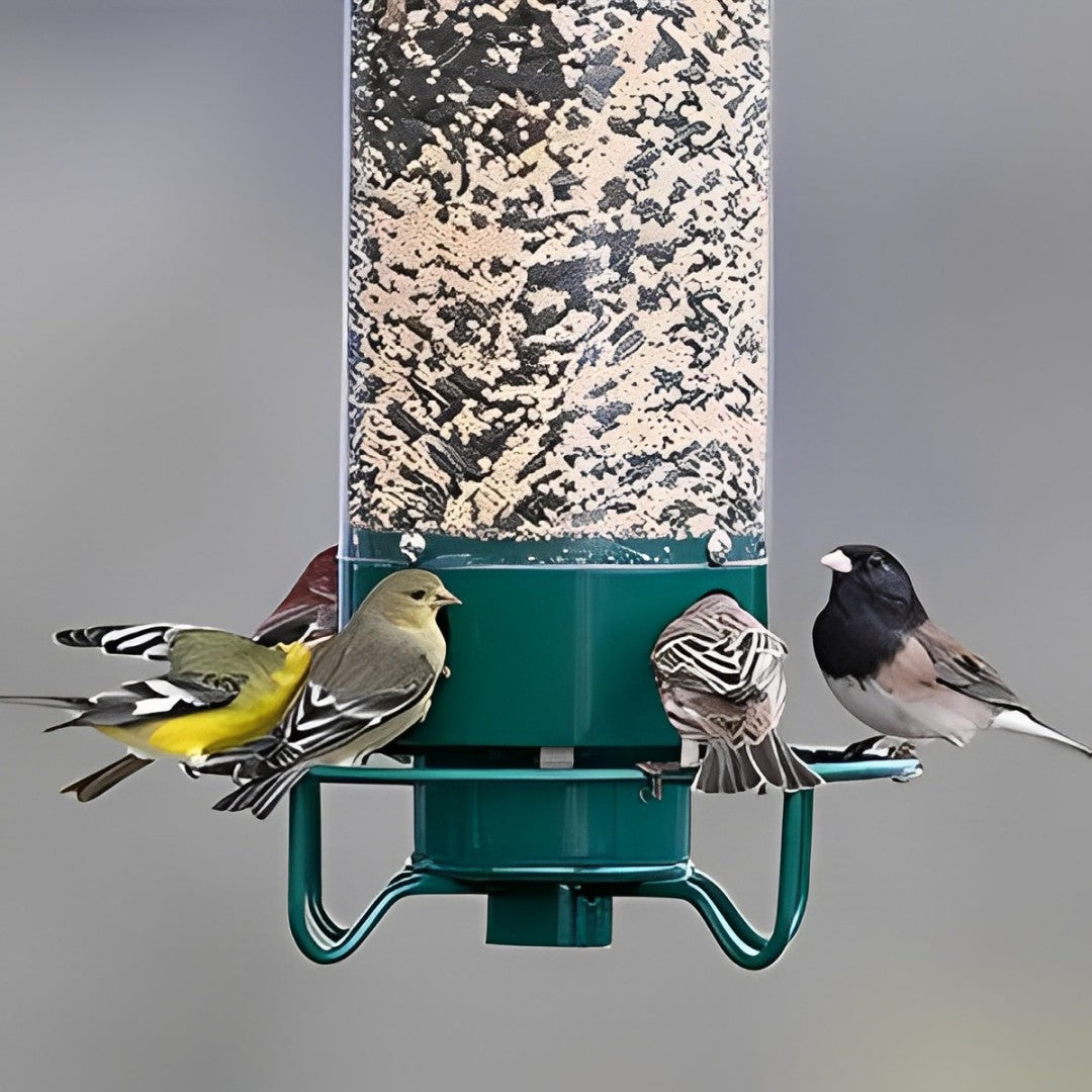 Squirrel Proof Bird Feeder  Weight Activated Anti Squirrel Design - Detailed view