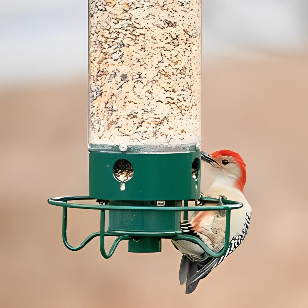 Squirrel Proof Bird Feeder  Weight Activated Anti Squirrel Design - Product example