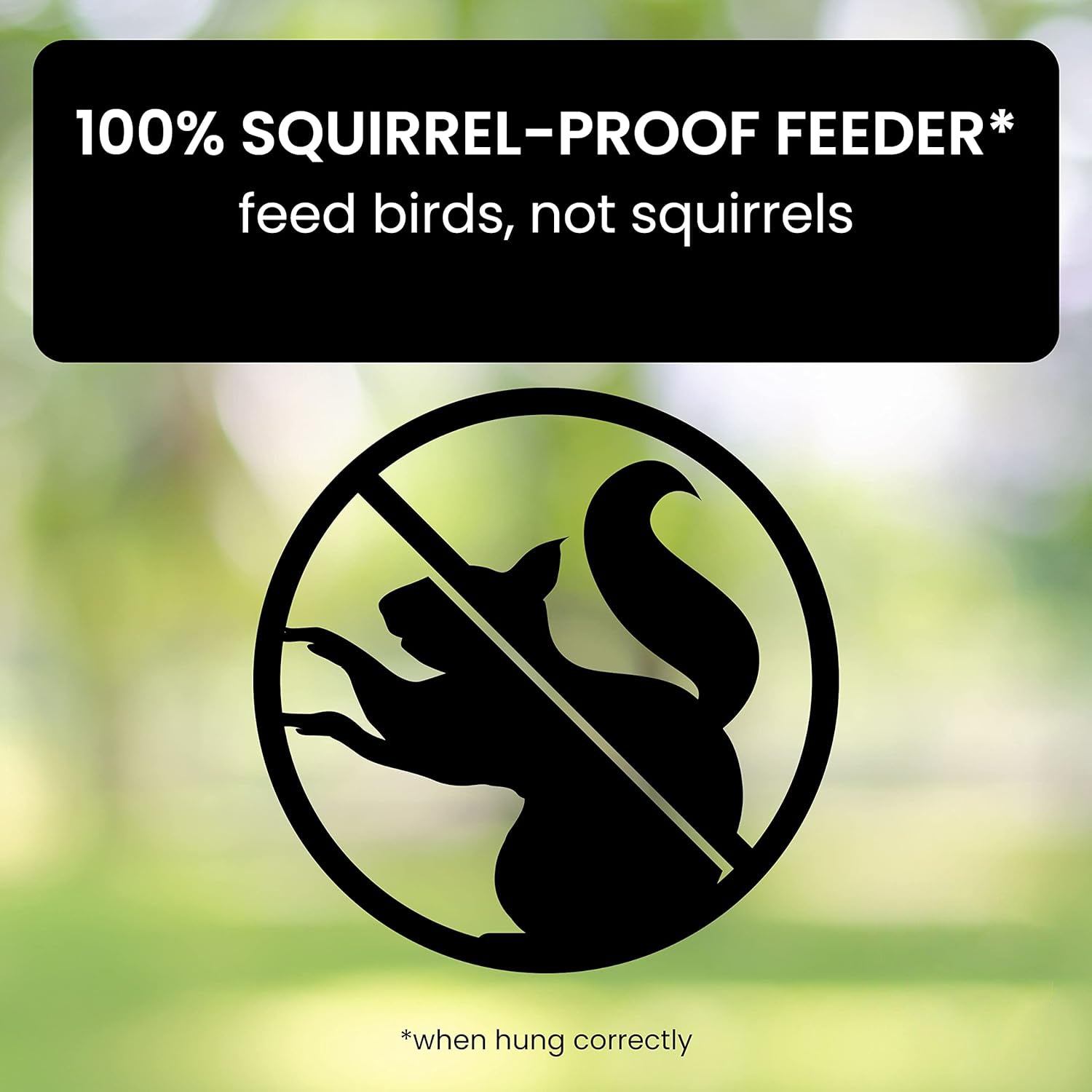 Squirrel Proof Bird Feeder  Weight Activated Anti Squirrel Design - Product detail 4