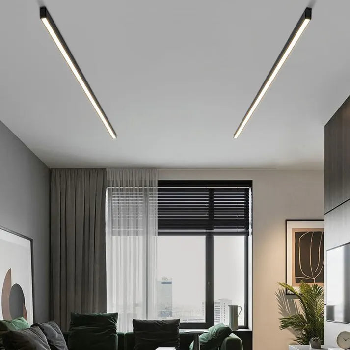 LED Ceiling Light  Modern Linear Flush Mount Fixture - Product example