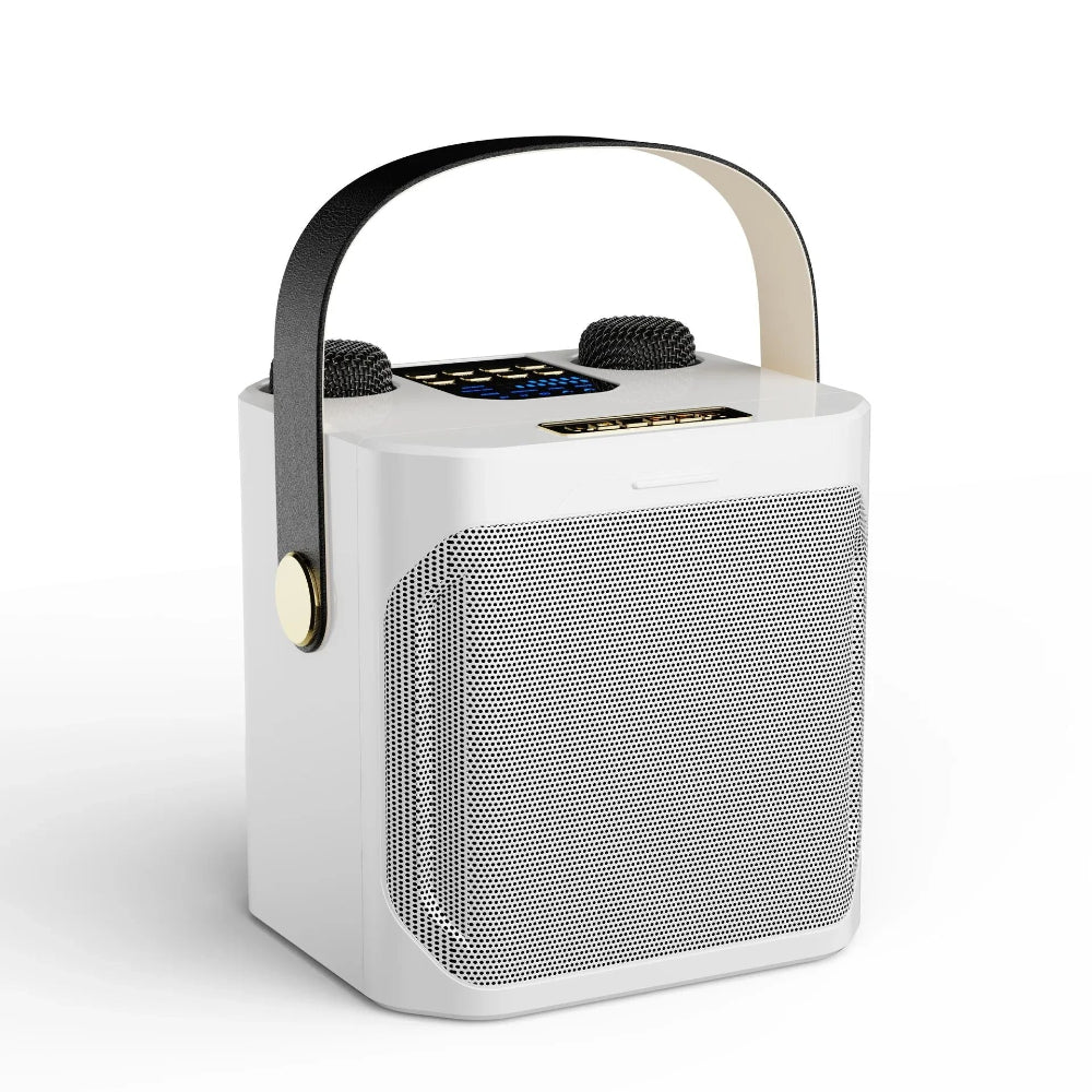 Portable Karaoke Speaker  Dual Wireless Microphones With 360 Sound - Product example