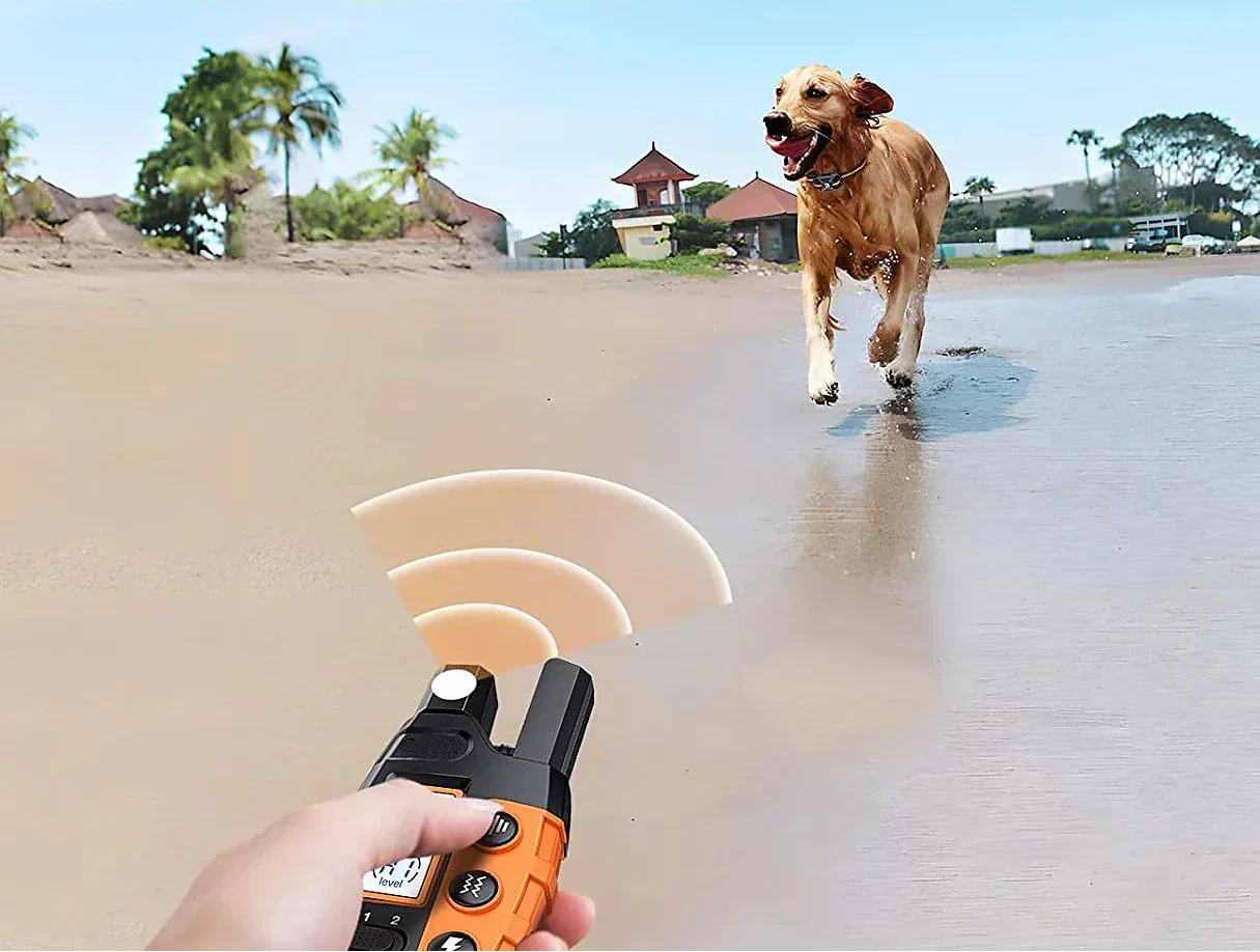 Premium 1000m Dog Training Collar with Remote - Waterproof, Rechargeable E-Collar for All Dog Sizes