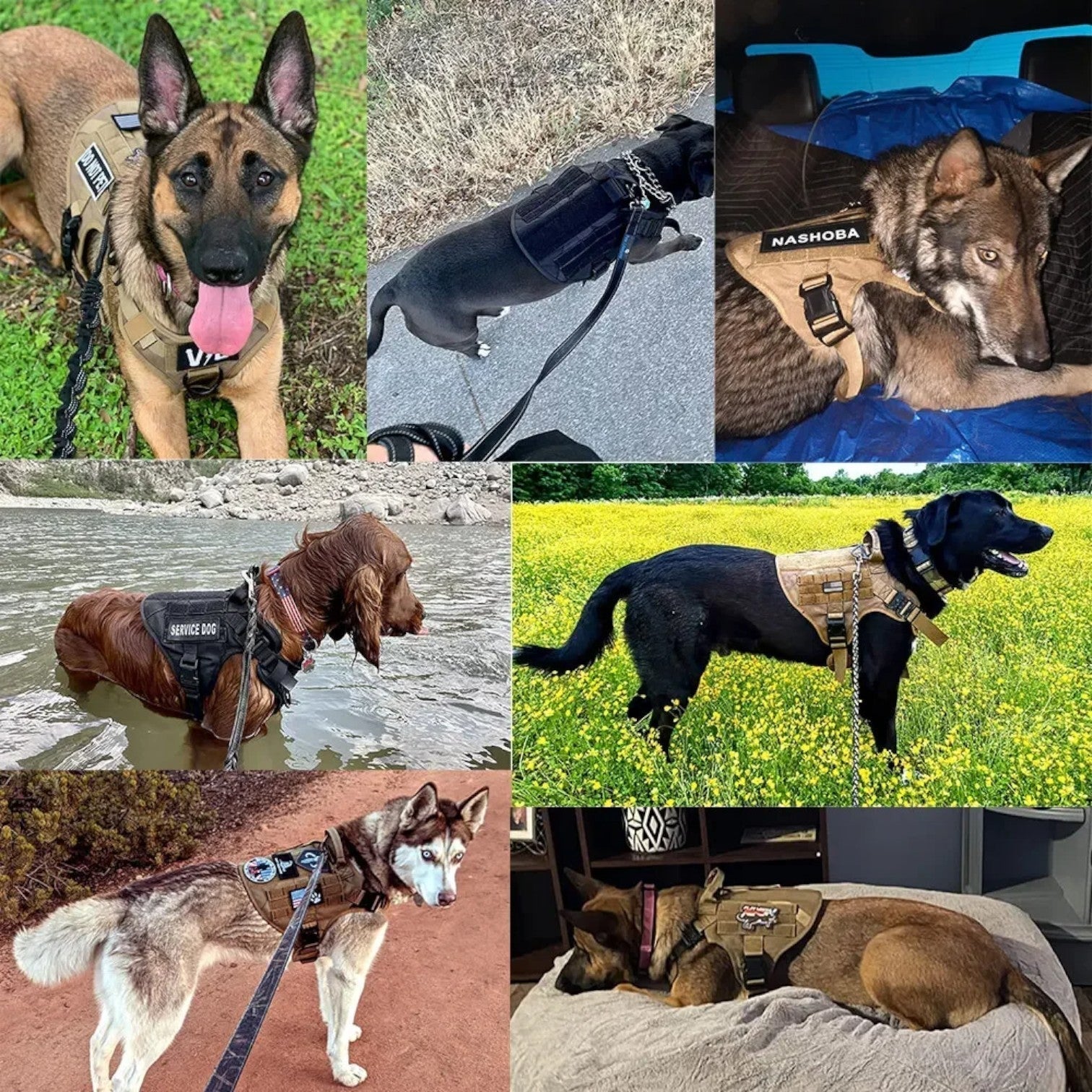 Military Grade Dog Harness  Tactical Training Vest with Quick-Release System - Product detail 6