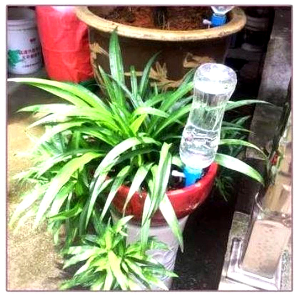 Niki | Automatic Plant Watering Spikes - Adjustable Flow Garden Aid