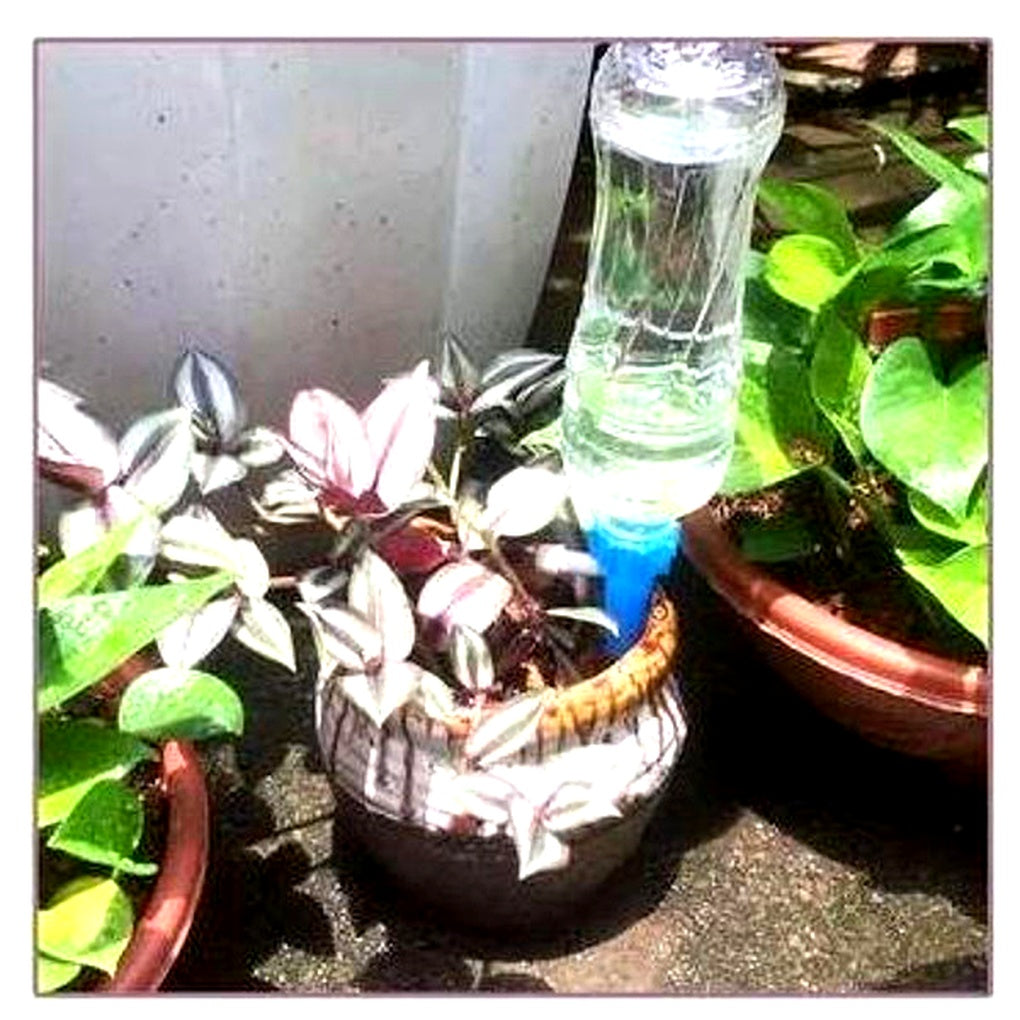 Niki | Automatic Plant Watering Spikes - Adjustable Flow Garden Aid