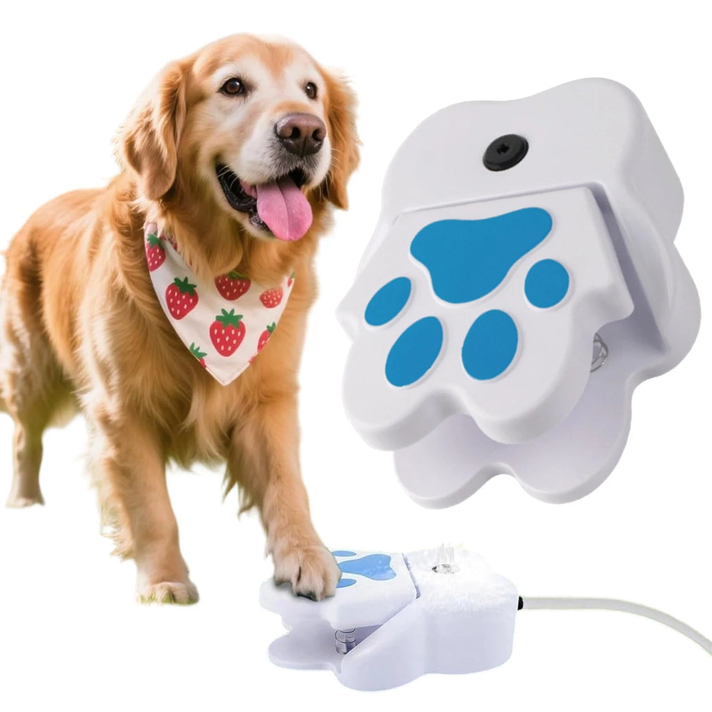 Water Fountain with Paw - Fountain for Dogs - Image 4